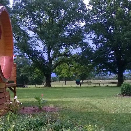 Aux Ronzieres Panzió Pouilly-sous-Charlieu Kültér fotó
